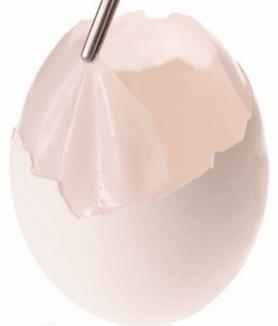 鶏の卵にある卵白を包む半透膜